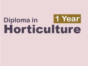 DIPLOMA IN HORTICULTURE