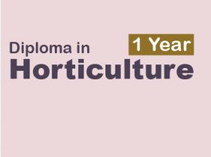 DIPLOMA IN HORTICULTURE